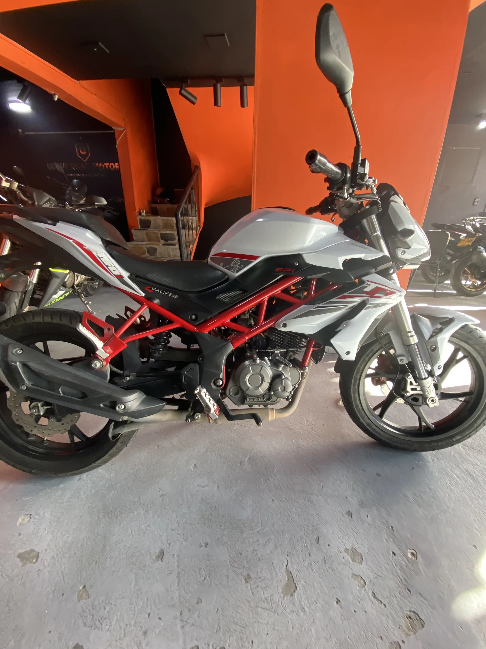 BENELLI BENELLI foto 3