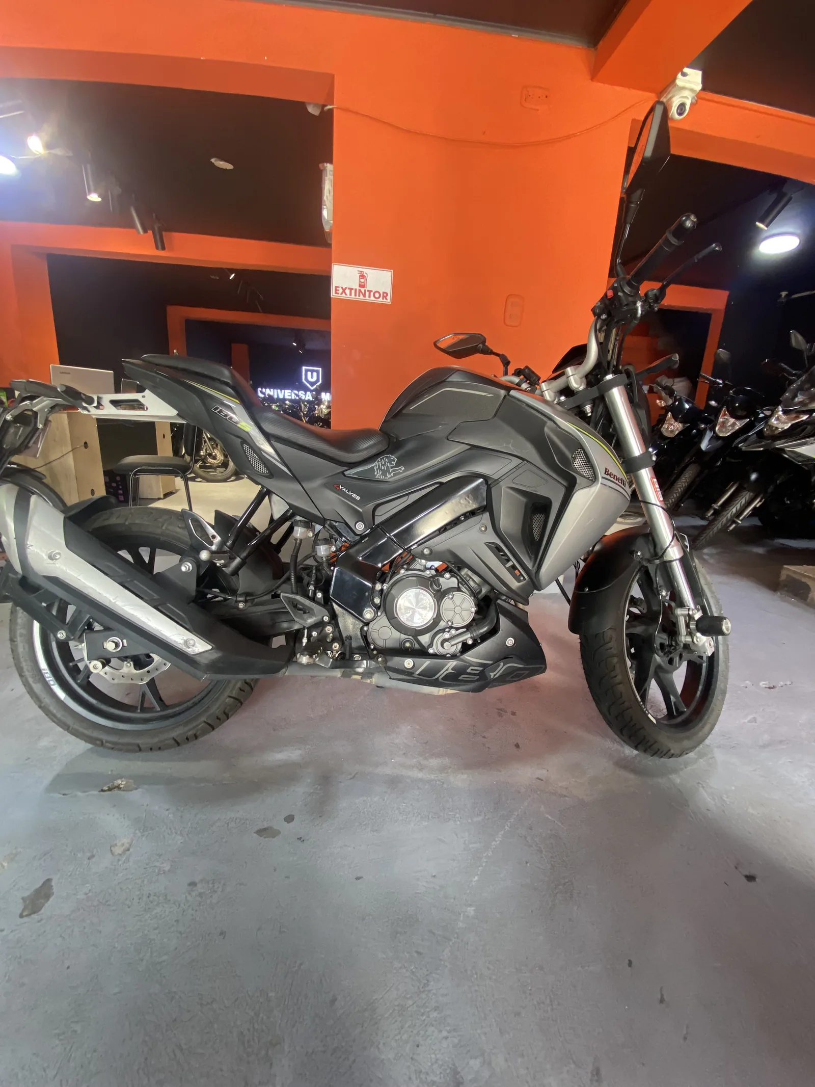 BENELLI  S foto 9