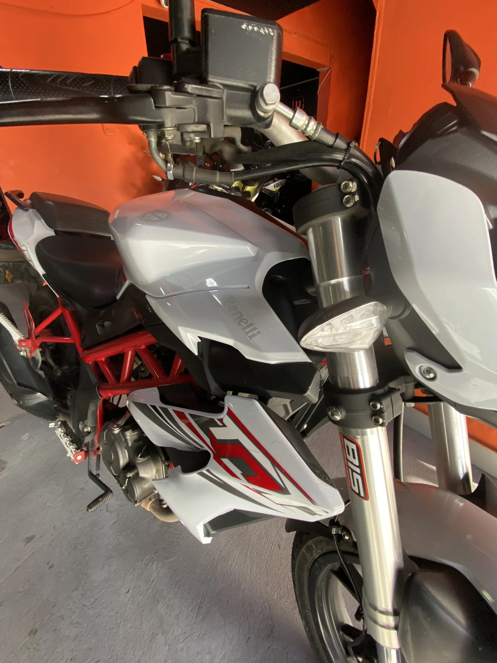 BENELLI BENELLI foto 2