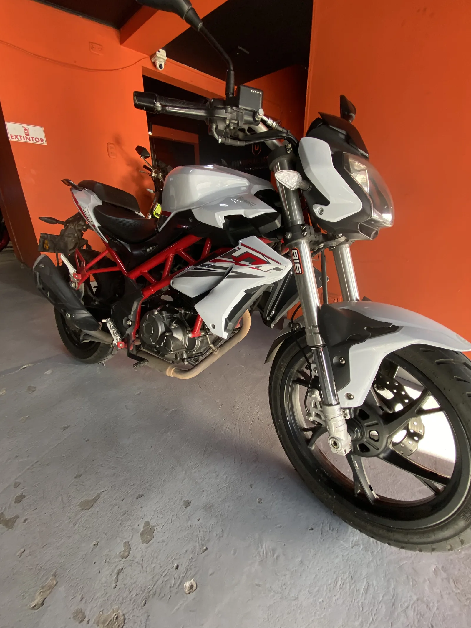 BENELLI BENELLI foto 1